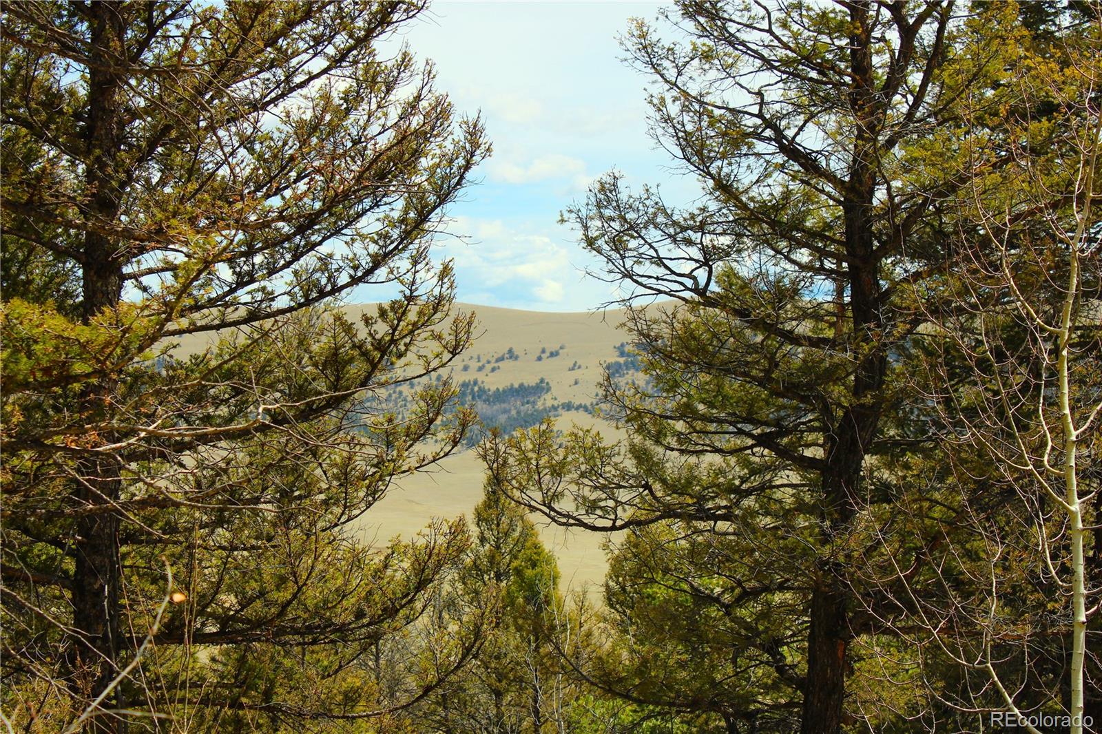 2882 Middle Fork Vista Fairplay CO 80440