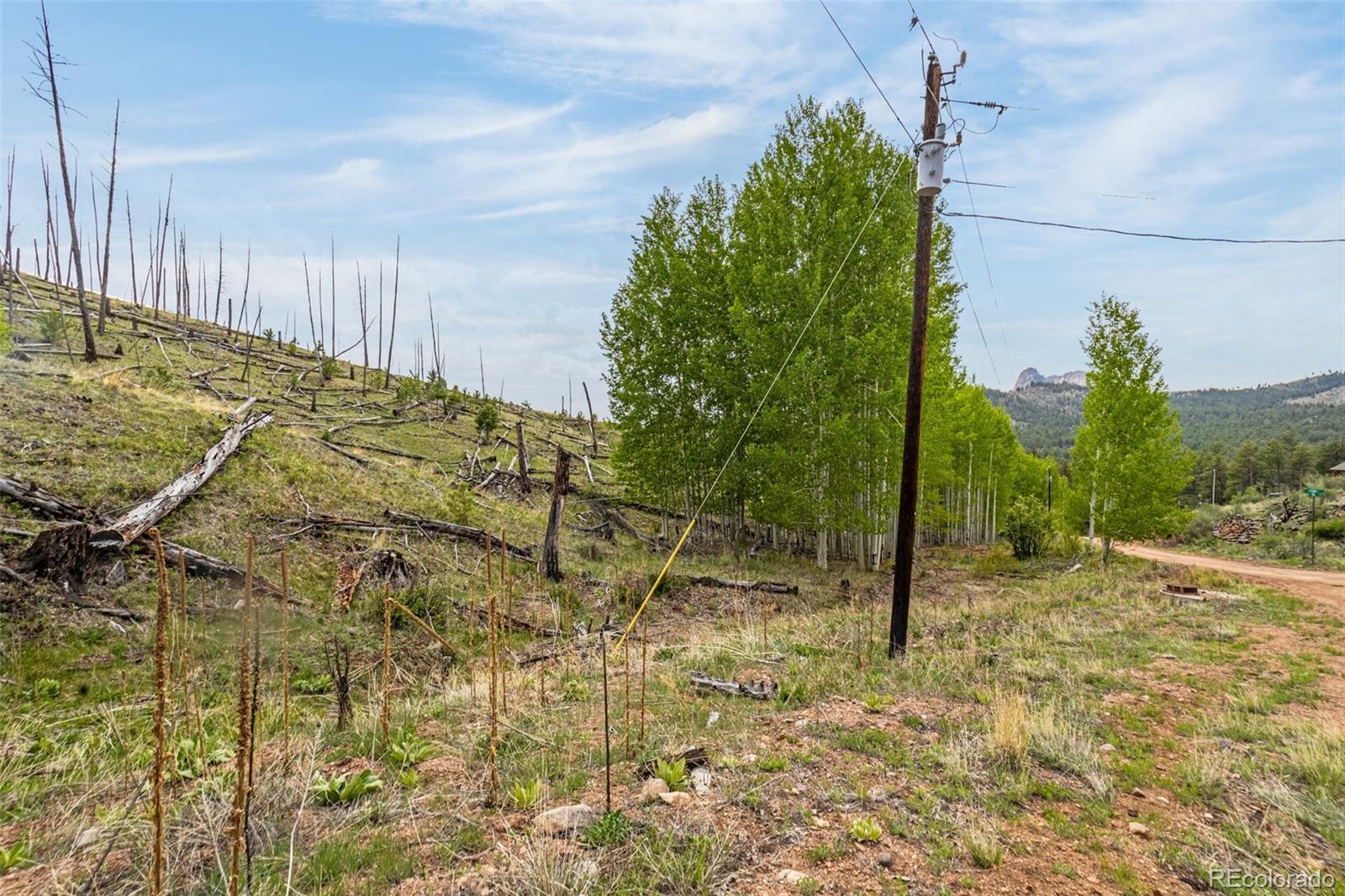 L1 B4 Columbine Circle Woodland Park CO 80863