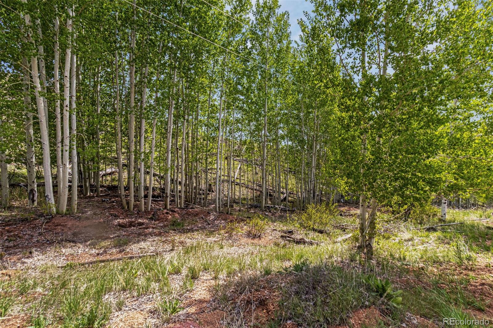 L1 B4 Columbine Circle Woodland Park CO 80863