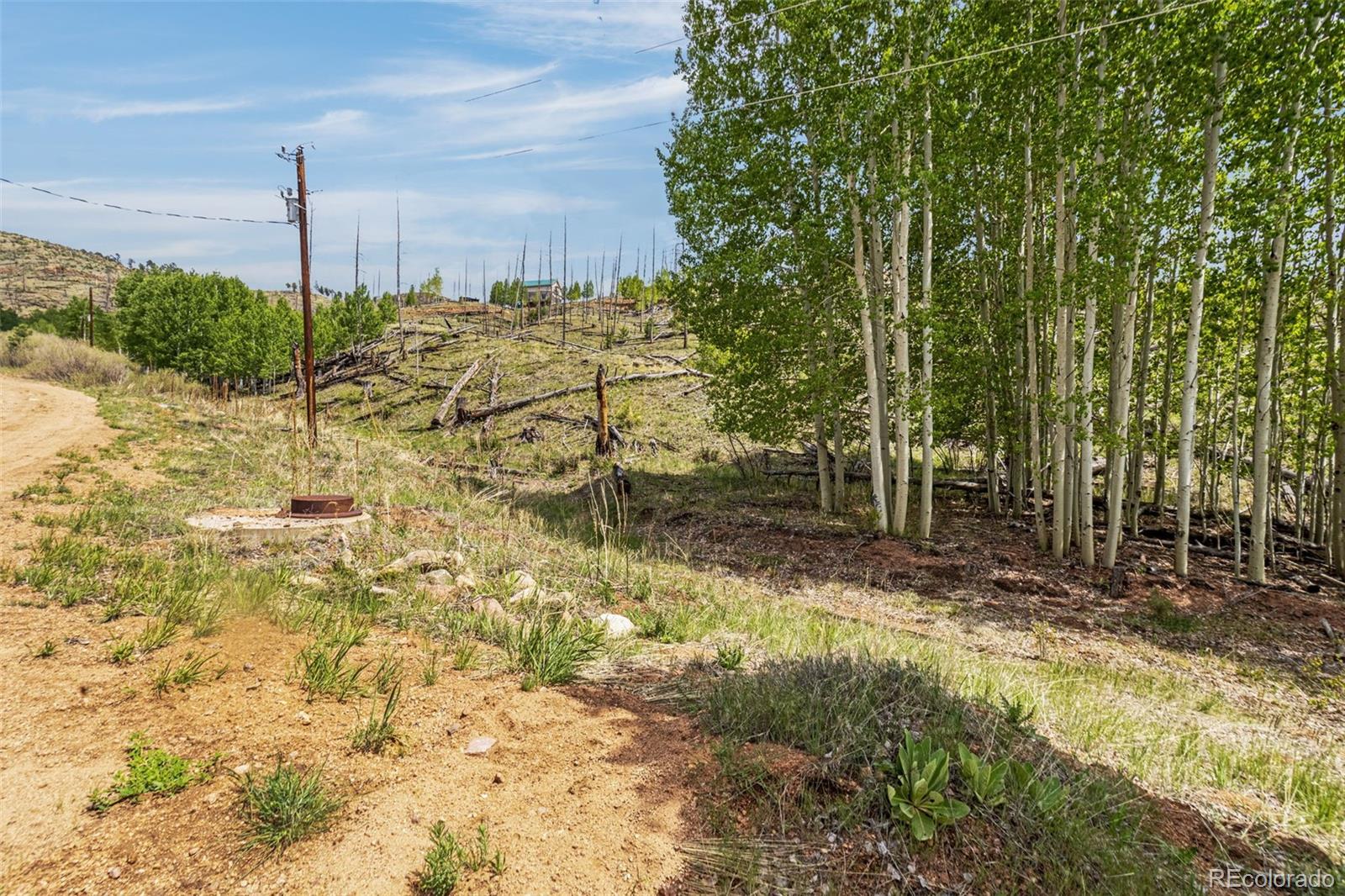 L1 B4 Columbine Circle Woodland Park CO 80863