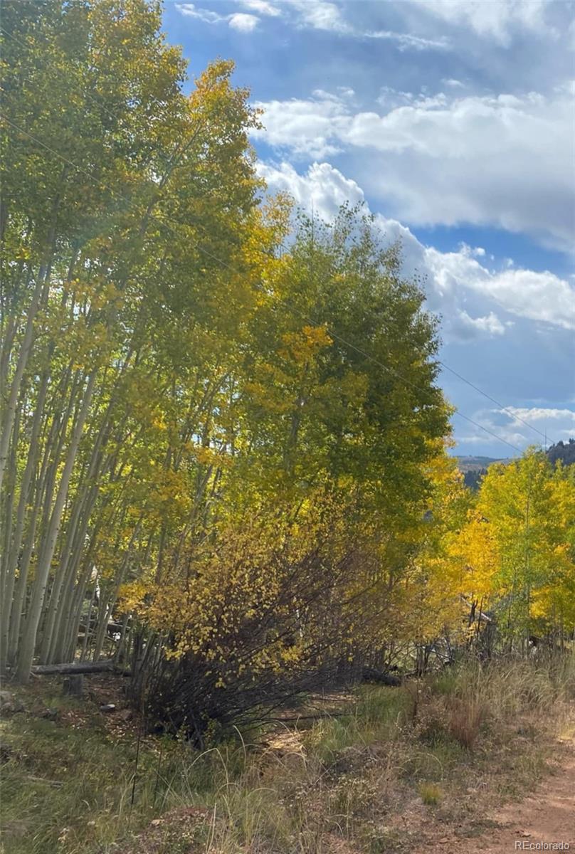 L1 B4 Columbine Circle Woodland Park CO 80863