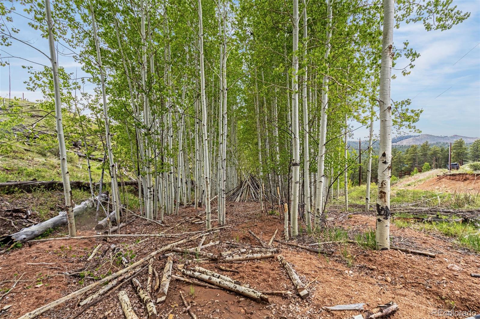 L1 B4 Columbine Circle Woodland Park CO 80863
