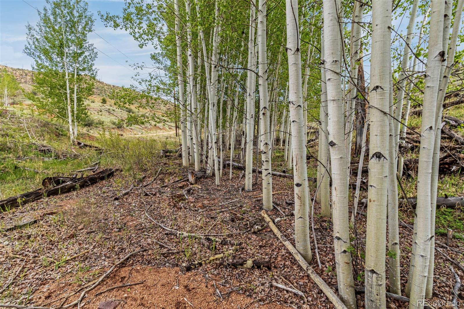 L1 B4 Columbine Circle Woodland Park CO 80863