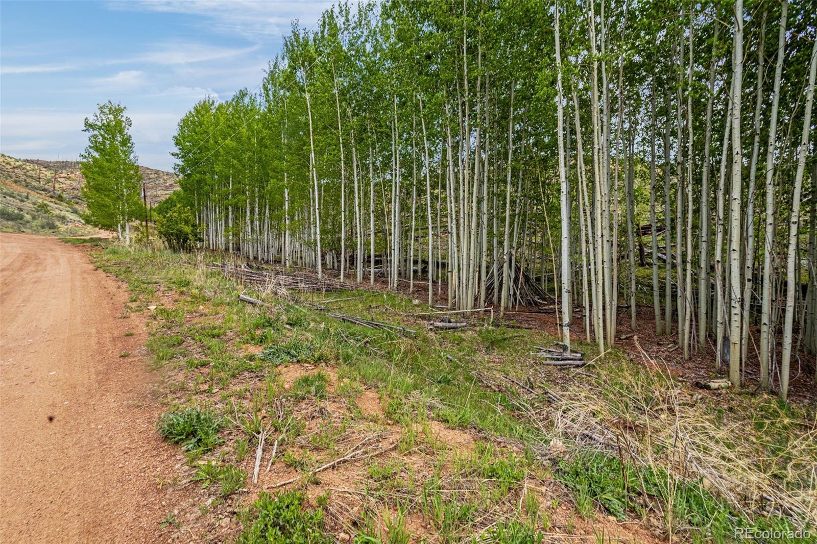 L1 B4 Columbine Circle Woodland Park CO 80863