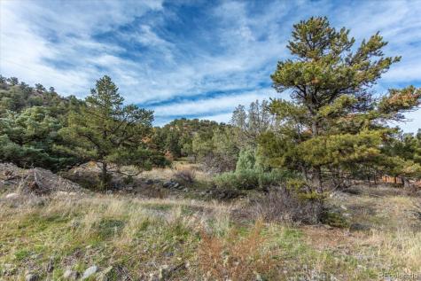 97 Loop Drive Howard CO 81233