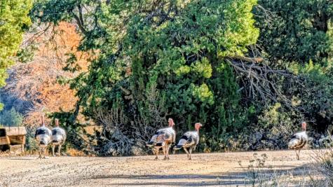 97 Loop Drive Howard CO 81233