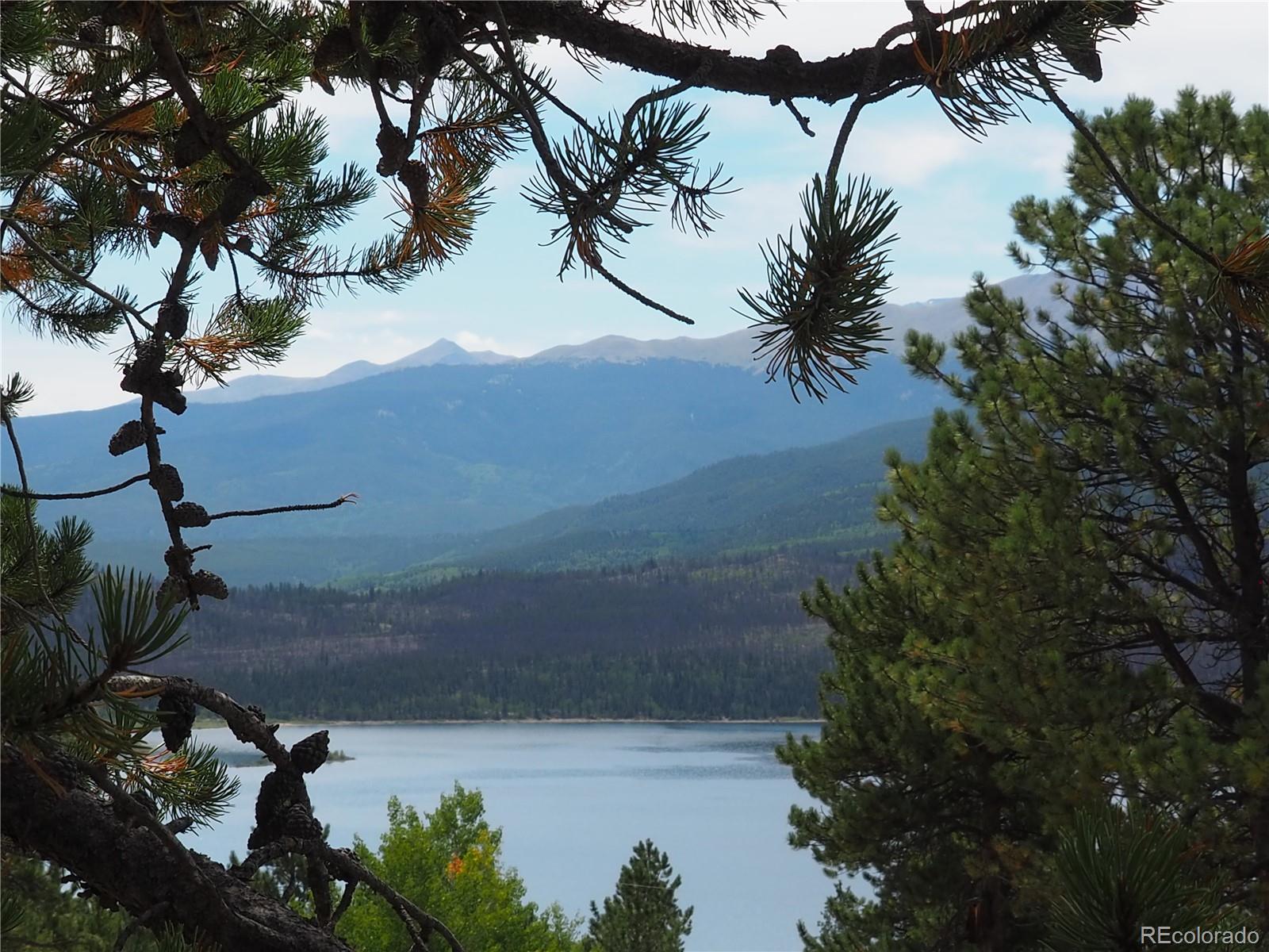 9 Twin Peaks Drive Twin Lakes CO 81251