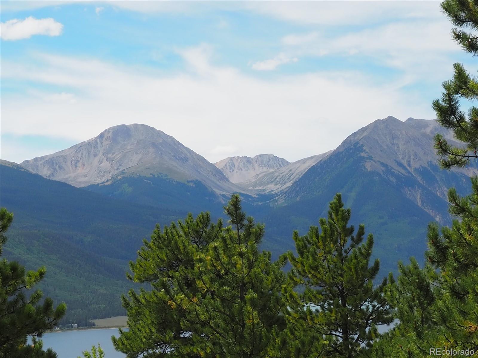 9 Twin Peaks Drive Twin Lakes CO 81251