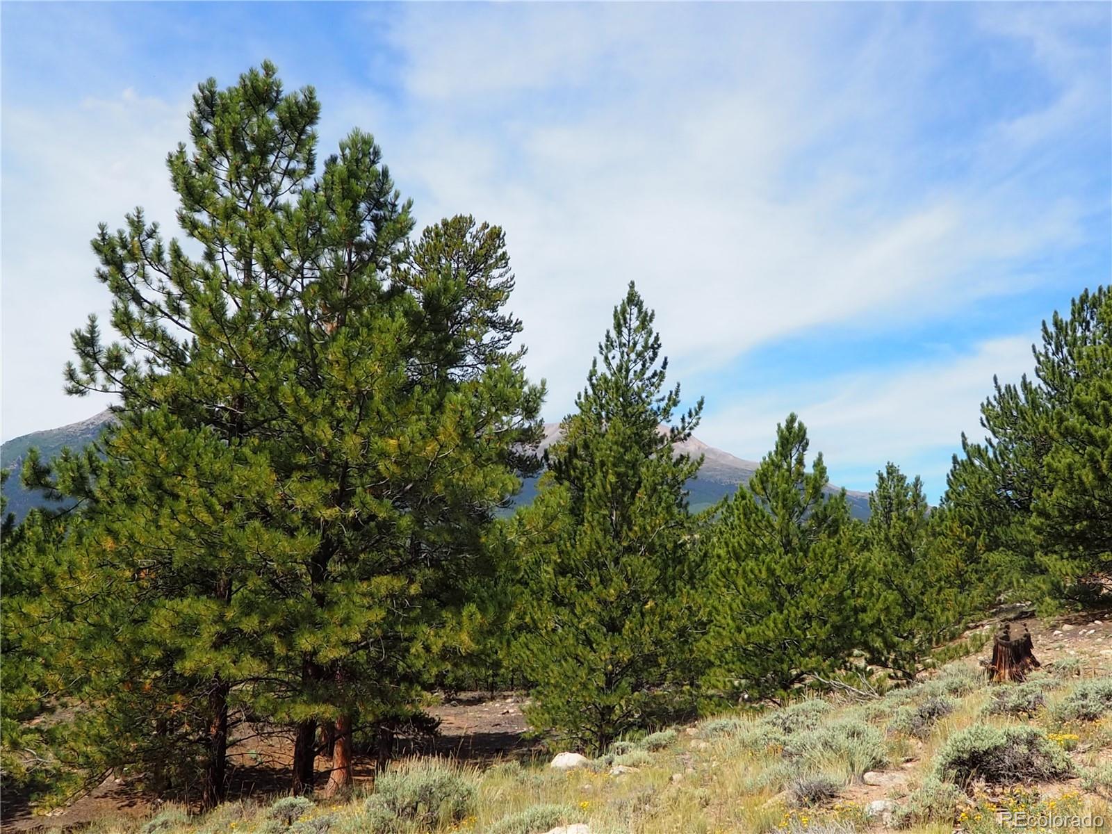 9 Twin Peaks Drive Twin Lakes CO 81251