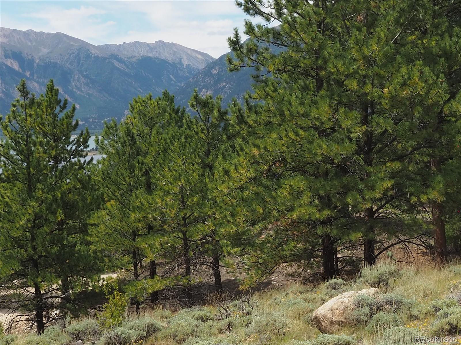 9 Twin Peaks Drive Twin Lakes CO 81251