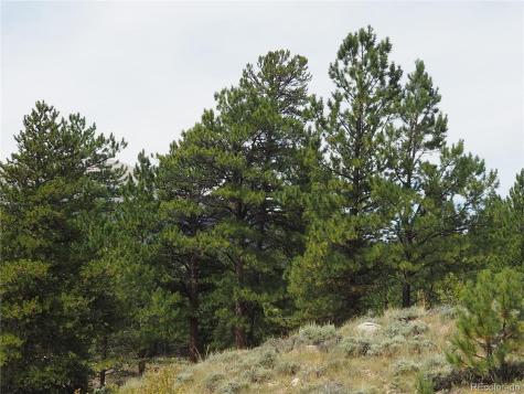9 Twin Peaks Drive Twin Lakes CO 81251