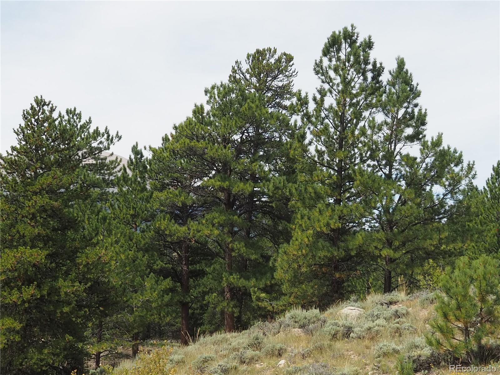 9 Twin Peaks Drive Twin Lakes CO 81251
