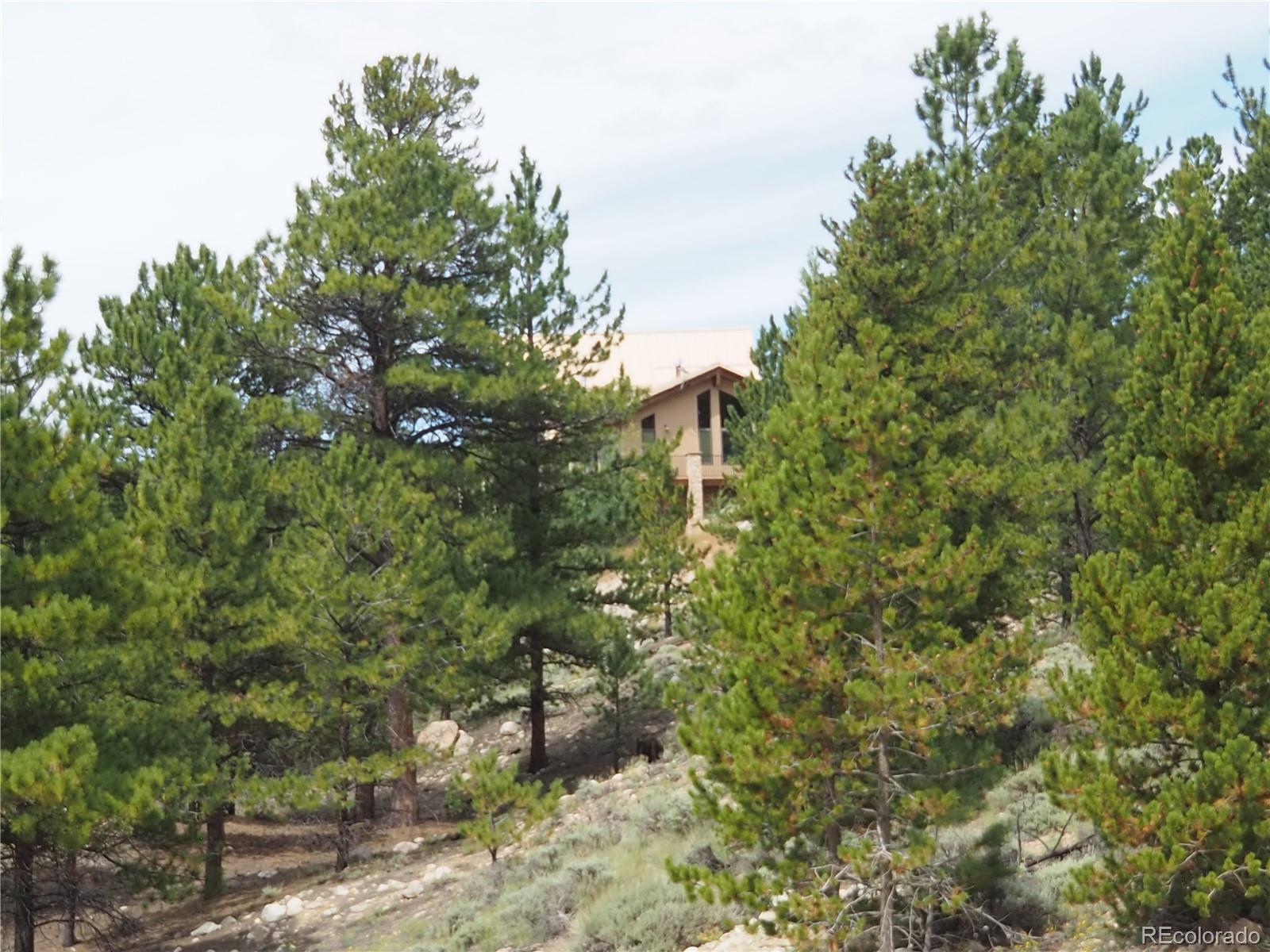 9 Twin Peaks Drive Twin Lakes CO 81251
