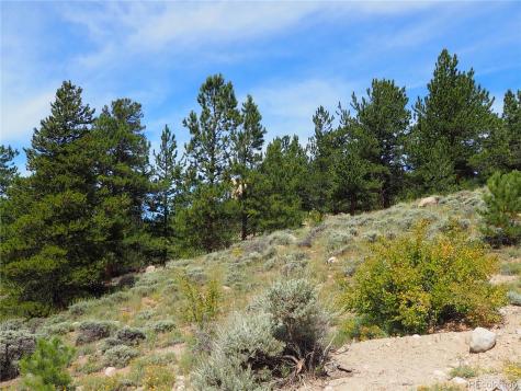 9 Twin Peaks Drive Twin Lakes CO 81251