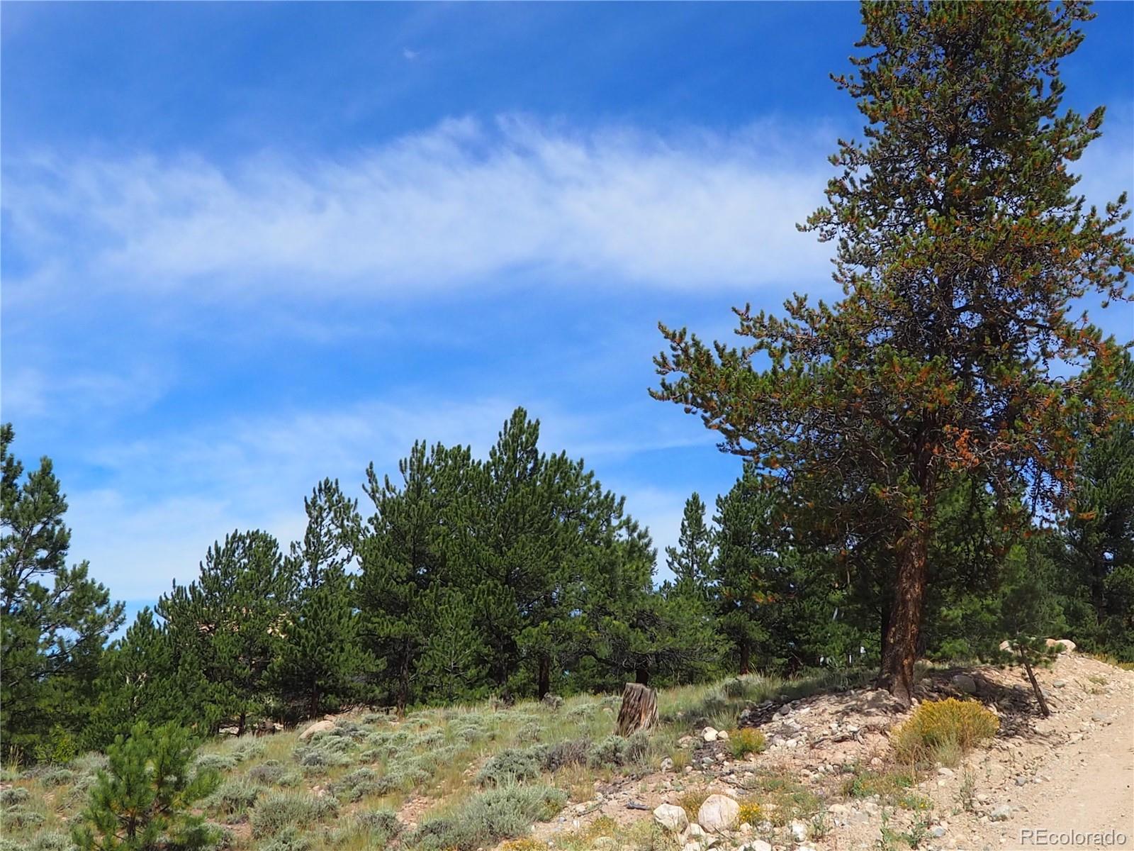 9 Twin Peaks Drive Twin Lakes CO 81251