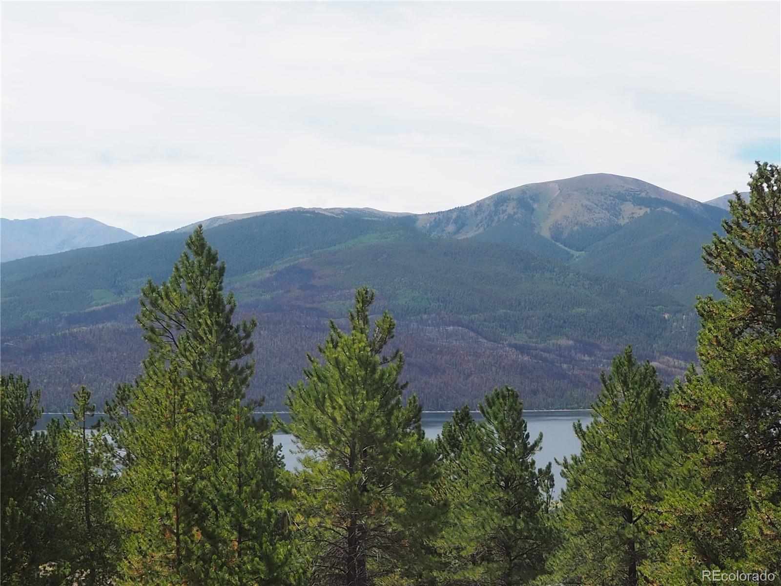 9 Twin Peaks Drive Twin Lakes CO 81251