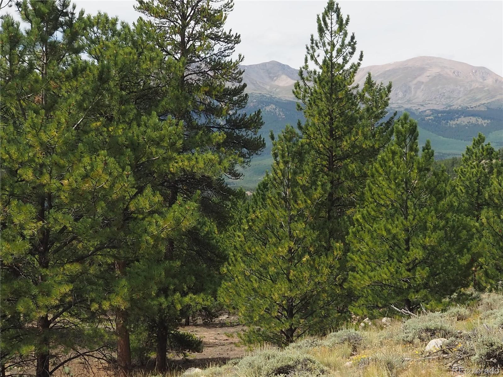 9 Twin Peaks Drive Twin Lakes CO 81251