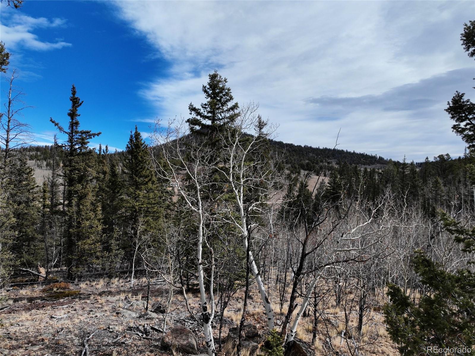 805 Longbow Drive Como CO 80432