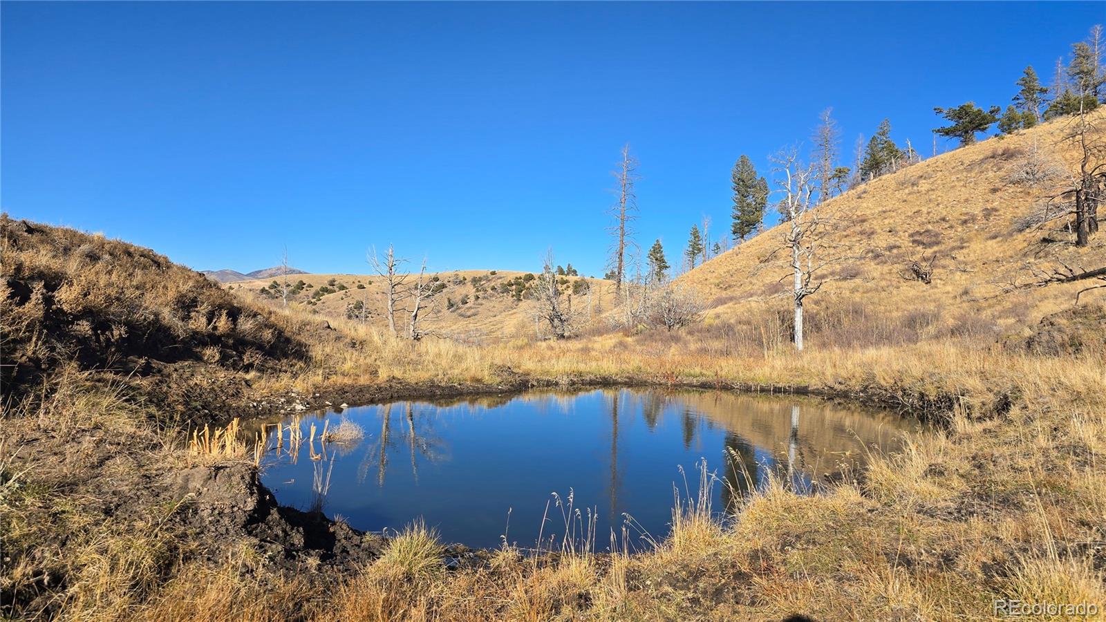 7741 Van Giesen Road Fort Garland CO 81133