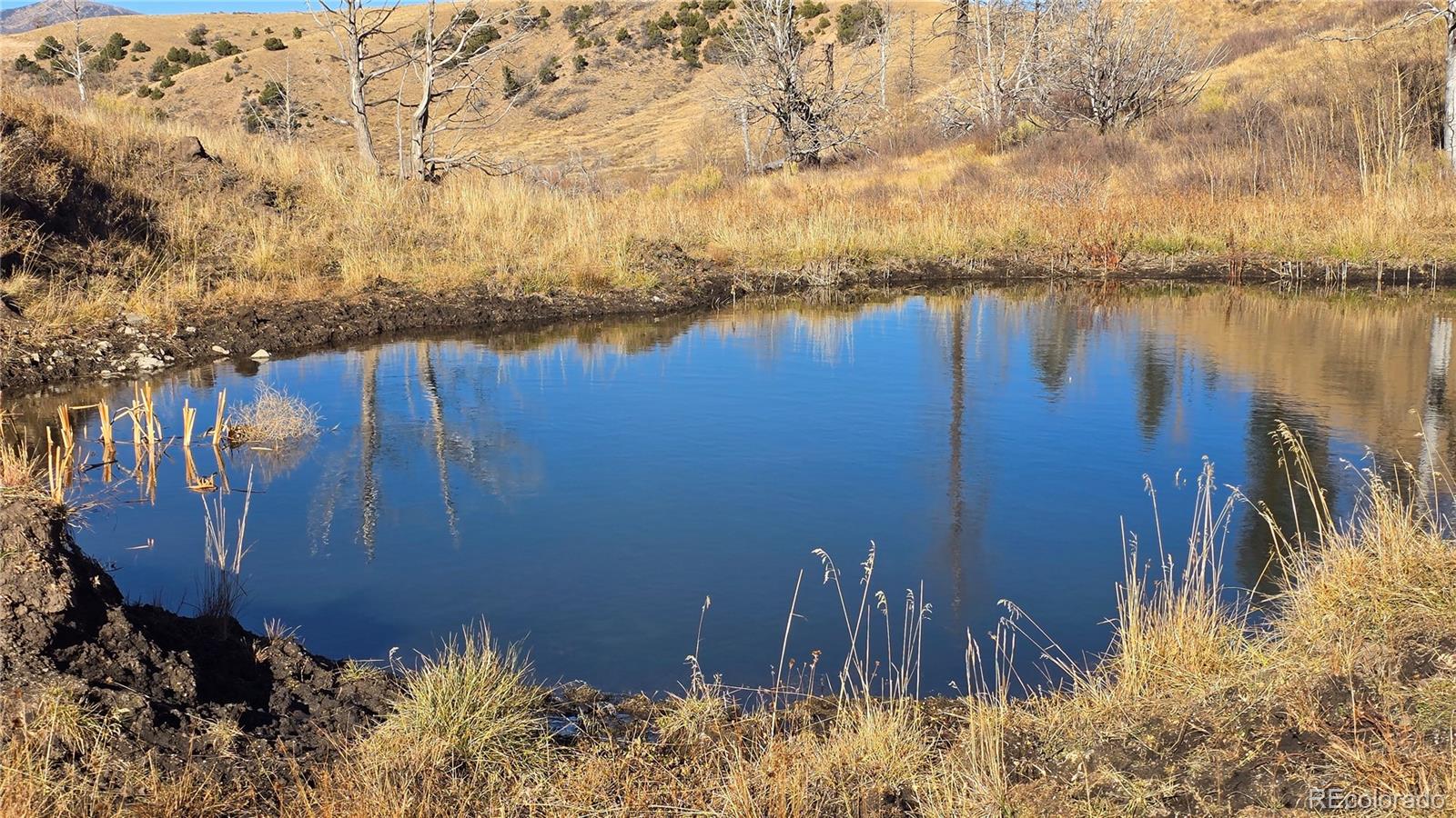 7741 Van Giesen Road Fort Garland CO 81133