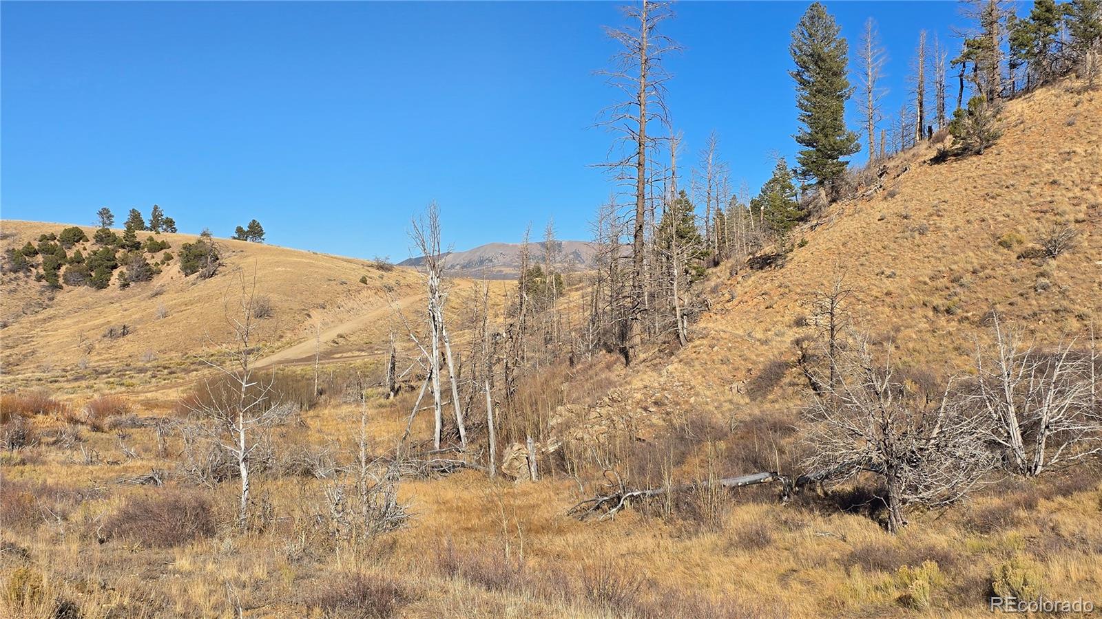 7741 Van Giesen Road Fort Garland CO 81133