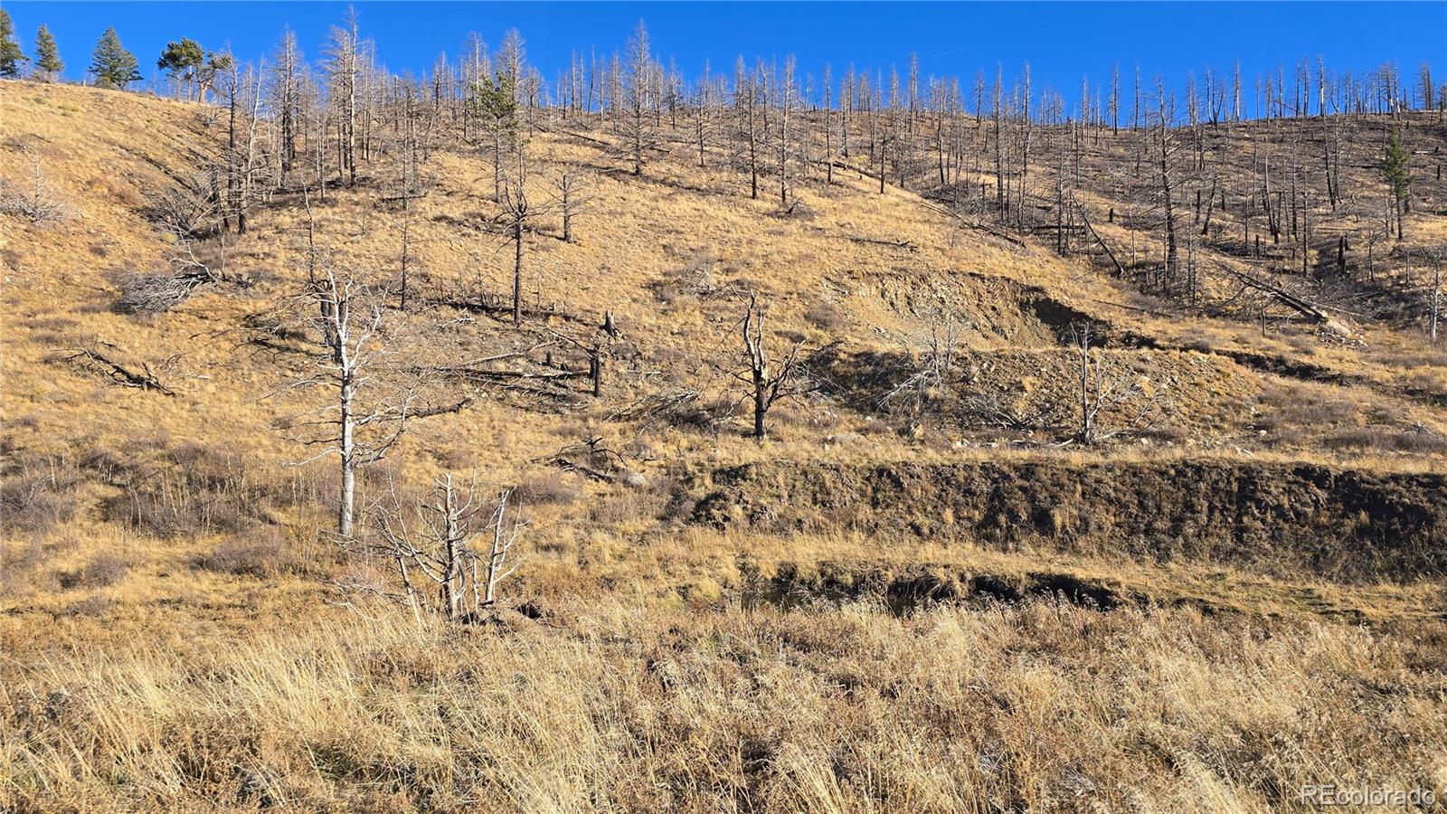7741 Van Giesen Road Fort Garland CO 81133