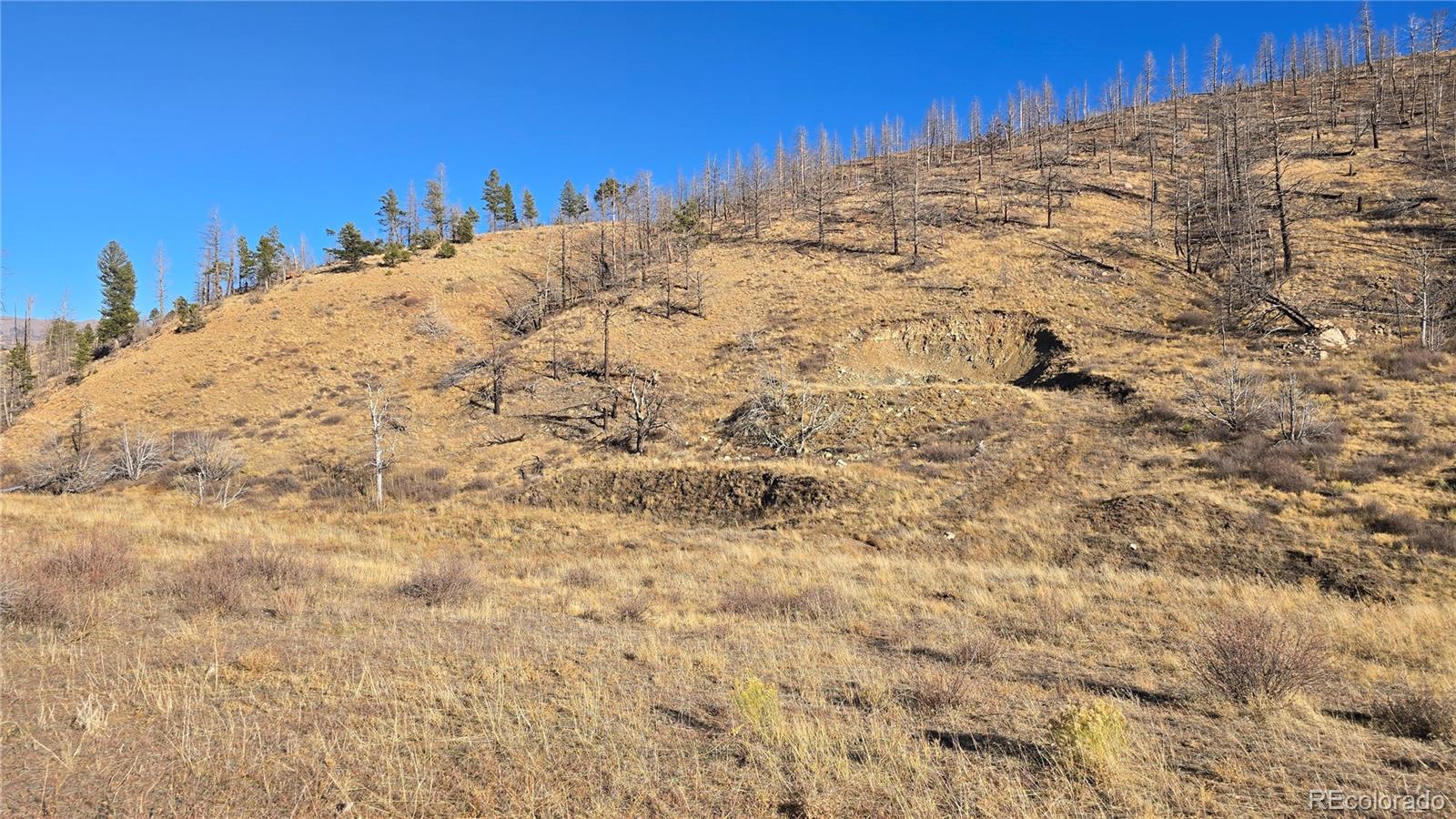 7741 Van Giesen Road Fort Garland CO 81133