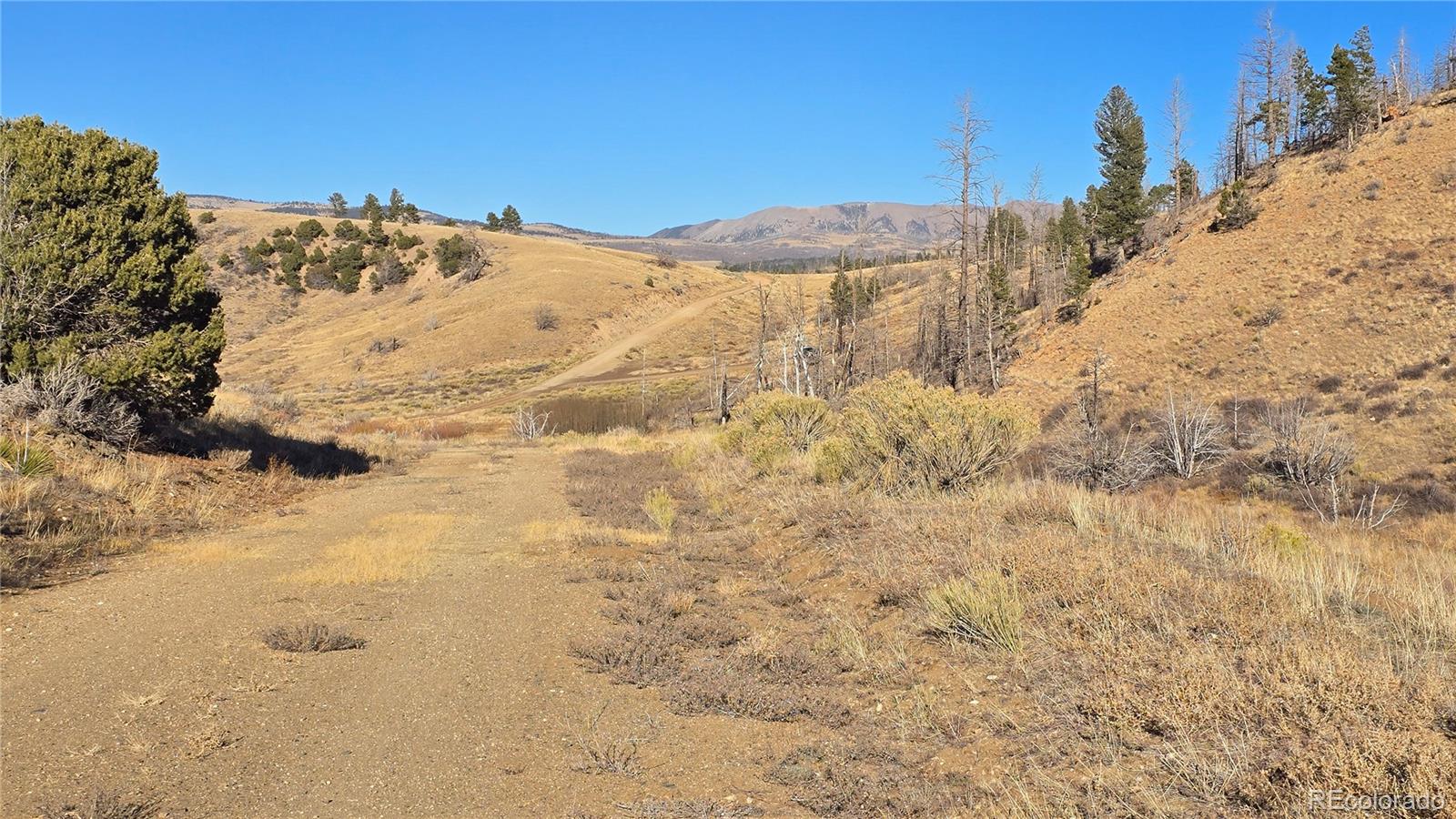 7741 Van Giesen Road Fort Garland CO 81133