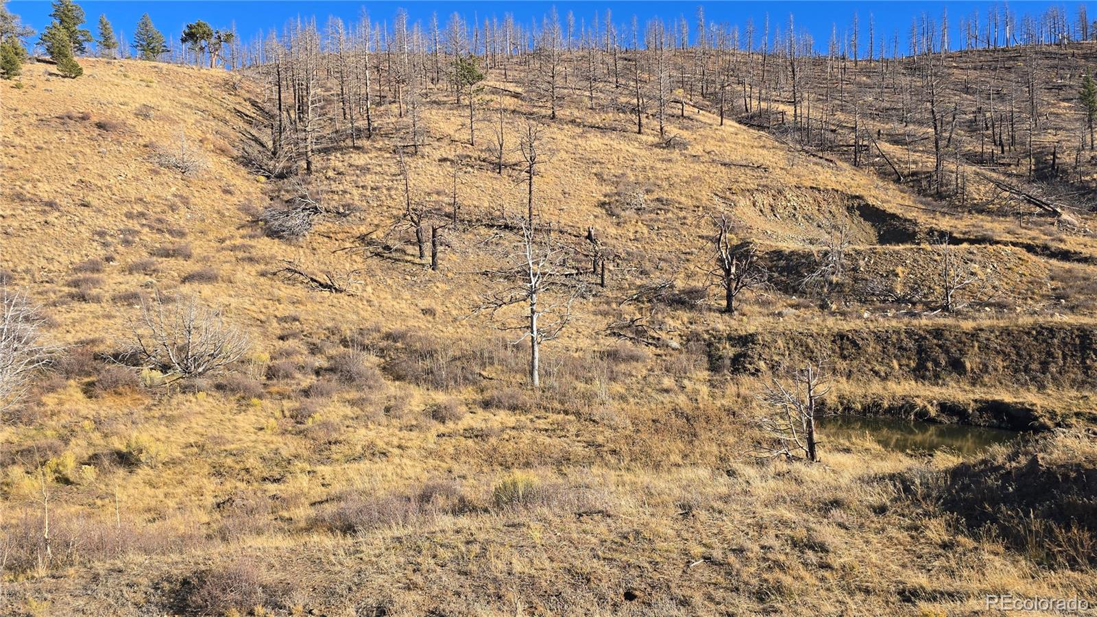 7741 Van Giesen Road Fort Garland CO 81133