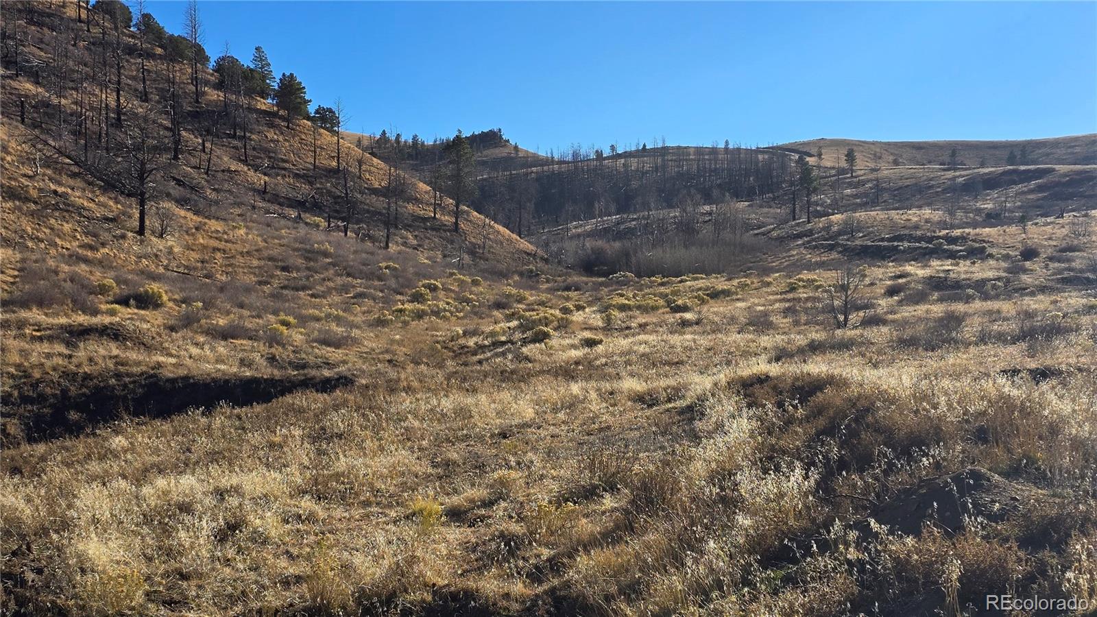 7741 Van Giesen Road Fort Garland CO 81133