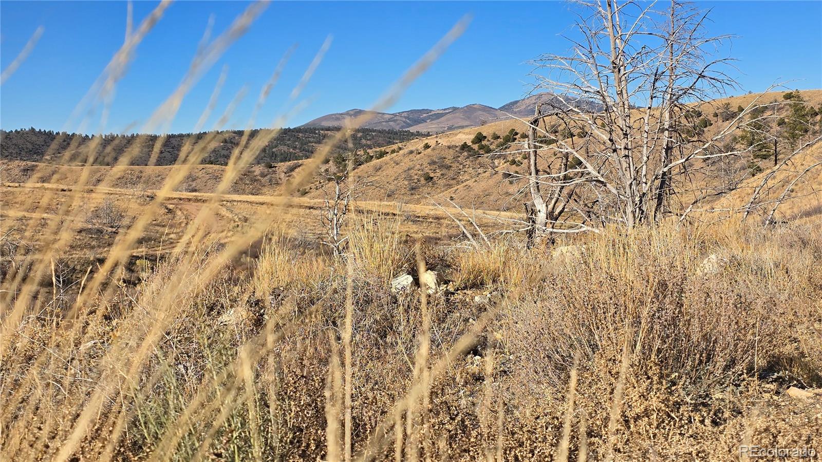 7741 Van Giesen Road Fort Garland CO 81133