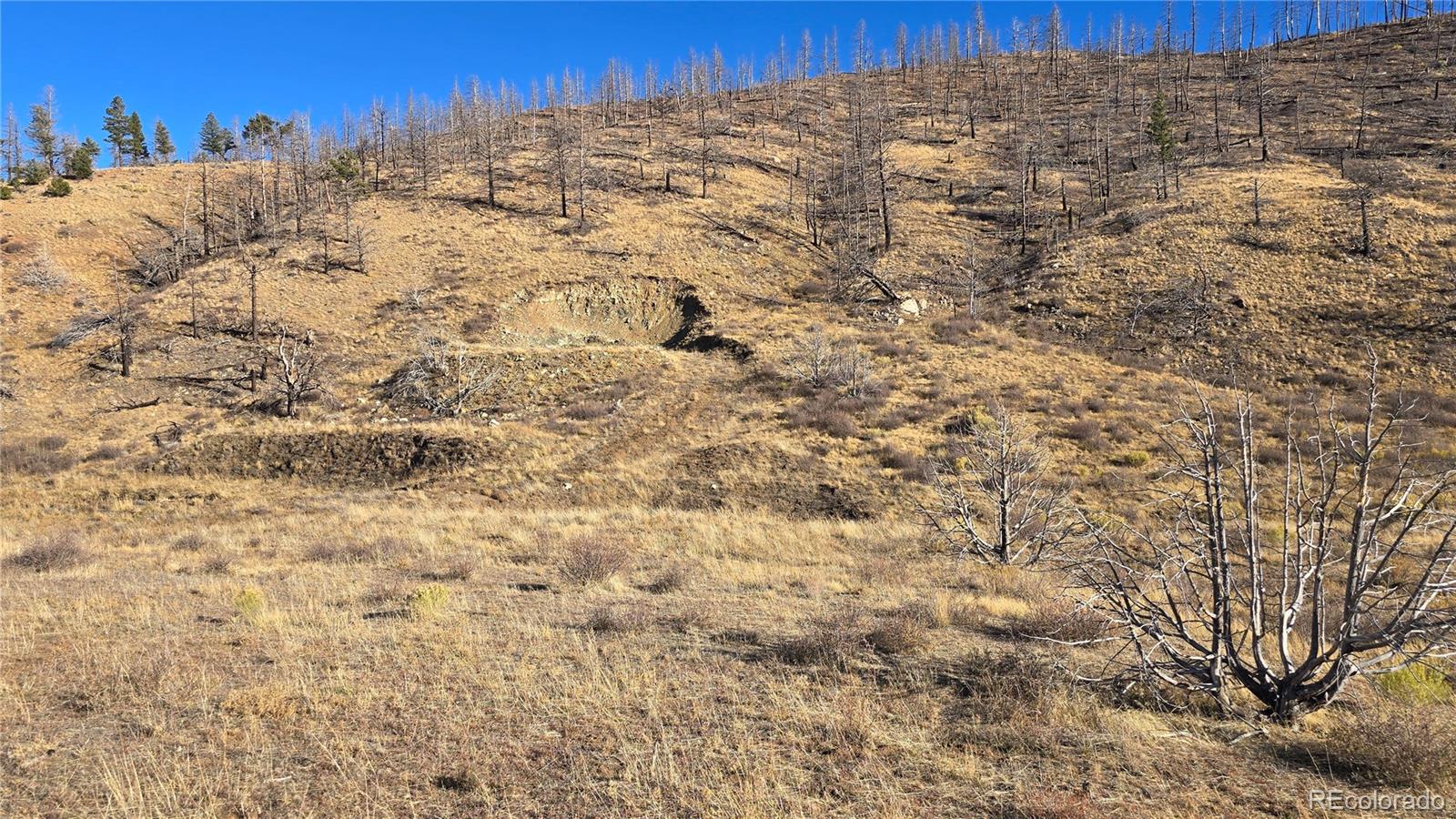 7741 Van Giesen Road Fort Garland CO 81133