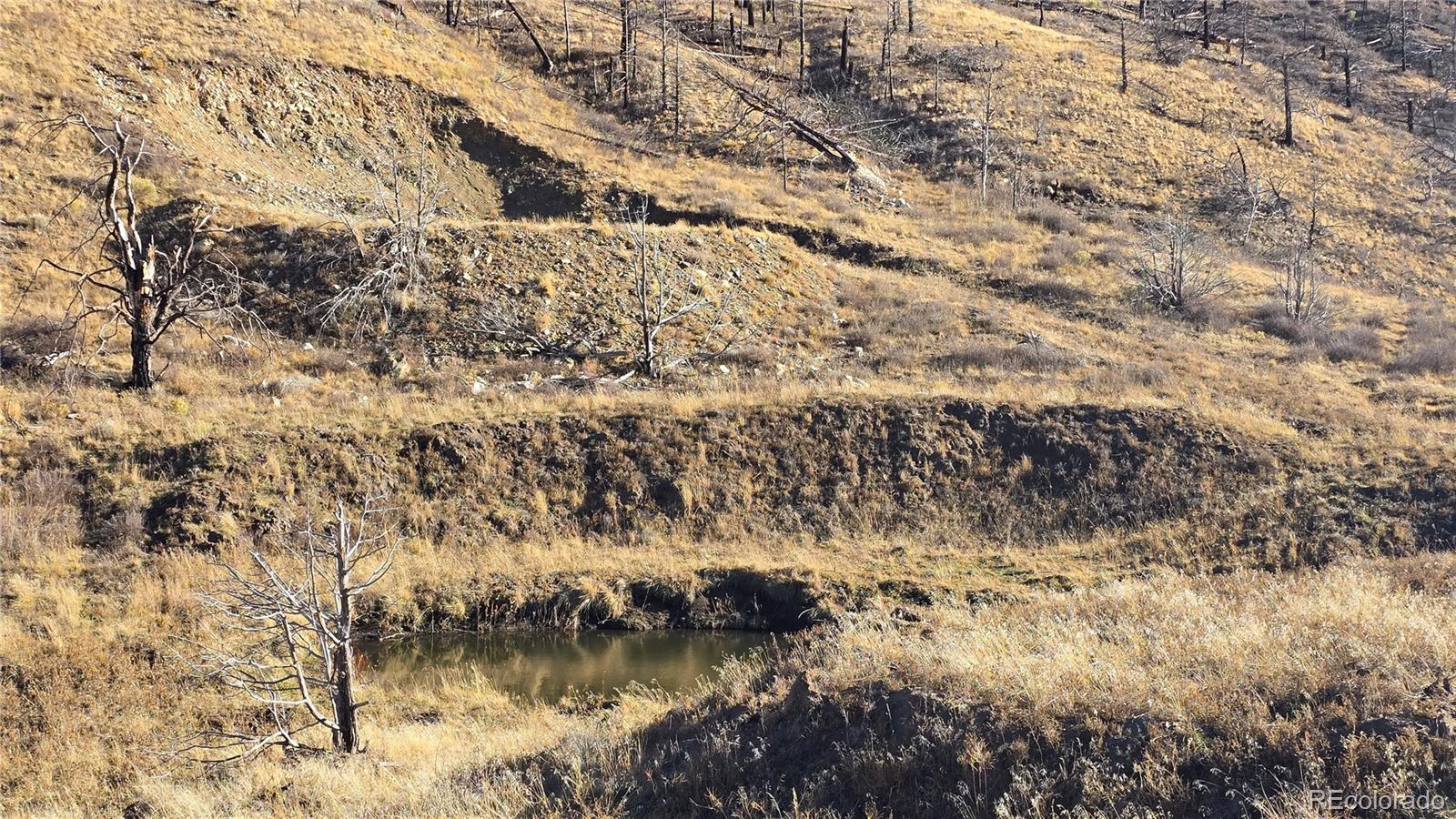 7741 Van Giesen Road Fort Garland CO 81133