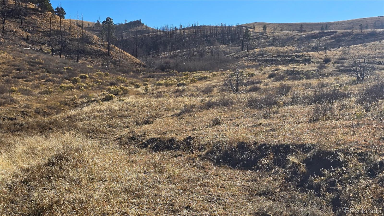 7741 Van Giesen Road Fort Garland CO 81133