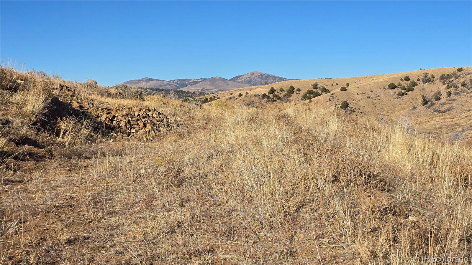 7741 Van Giesen Road Fort Garland CO 81133