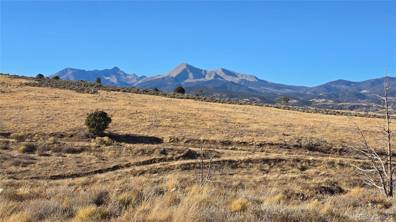 7741 Van Giesen Road Fort Garland CO 81133