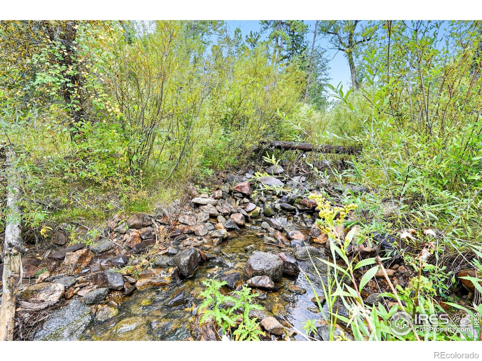 6055 Fourmile Canyon Drive Boulder CO 80302