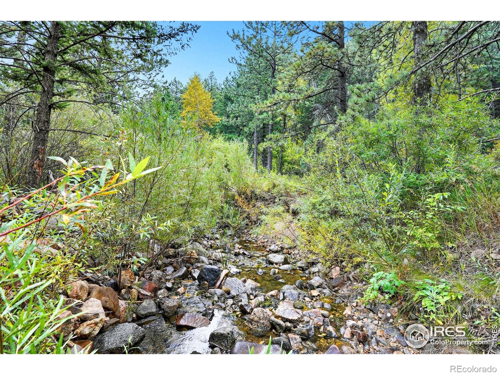 6055 Fourmile Canyon Drive Boulder CO 80302