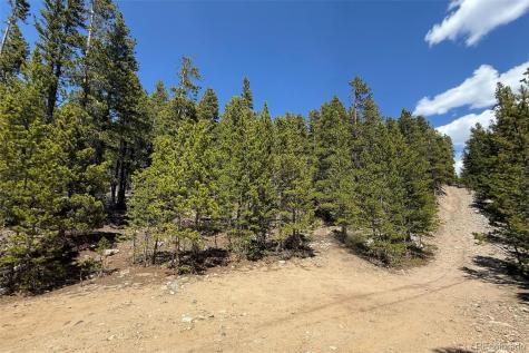 312 Vista Road Idaho Springs CO 80452