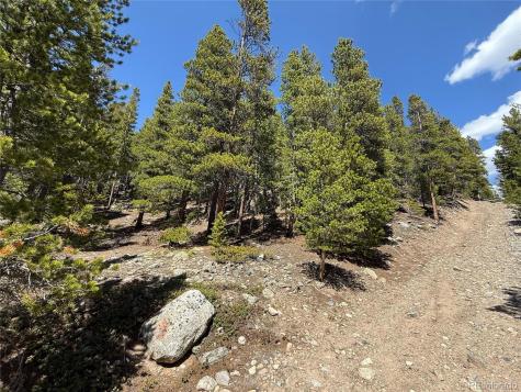 312 Vista Road Idaho Springs CO 80452