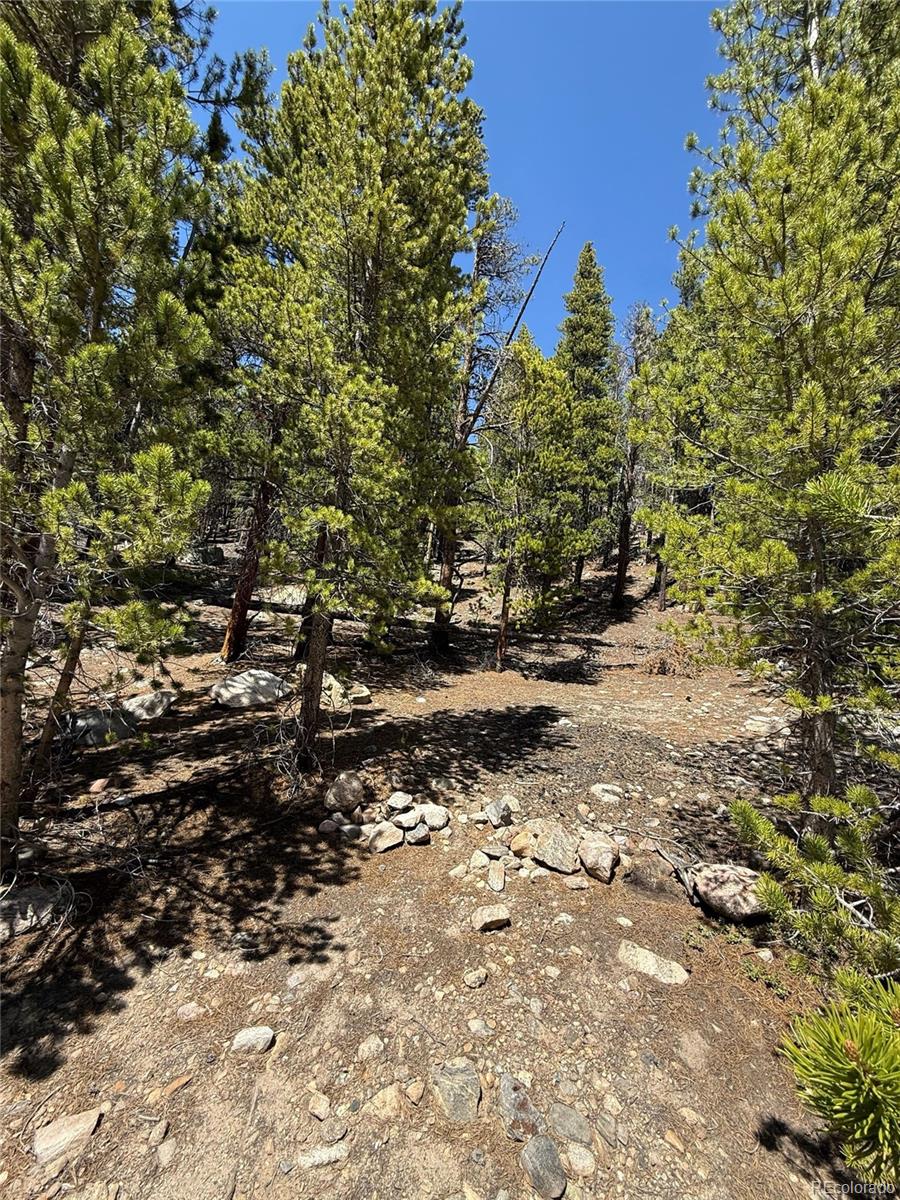 312 Vista Road Idaho Springs CO 80452