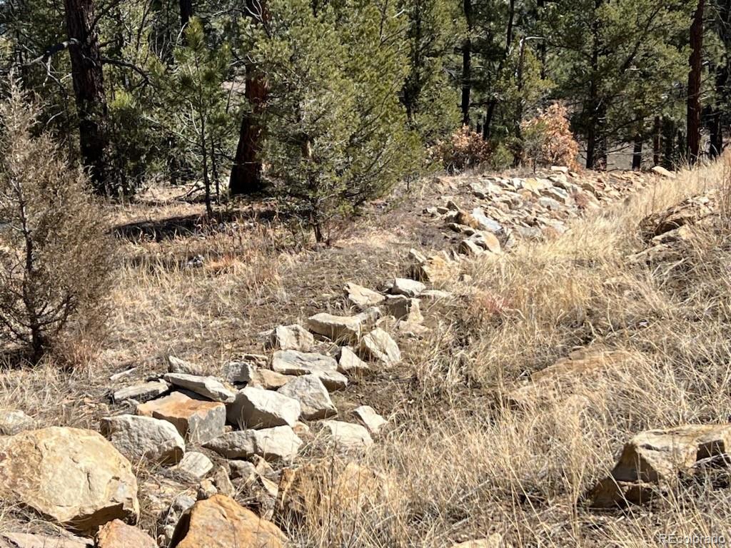 County Road 23.3 Weston CO 81091