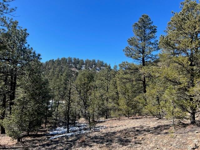 County Road 23.3 Weston CO 81091