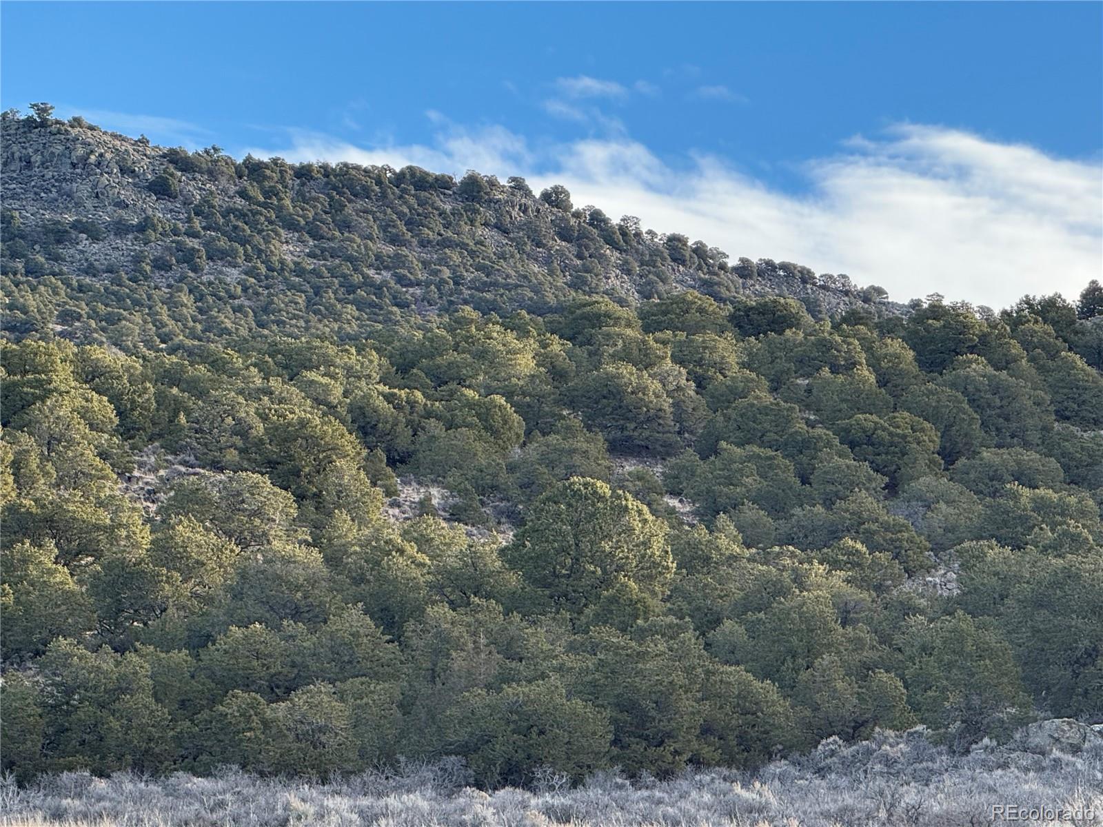 Lot 54 Old Stage Coach Road San Luis CO 81152