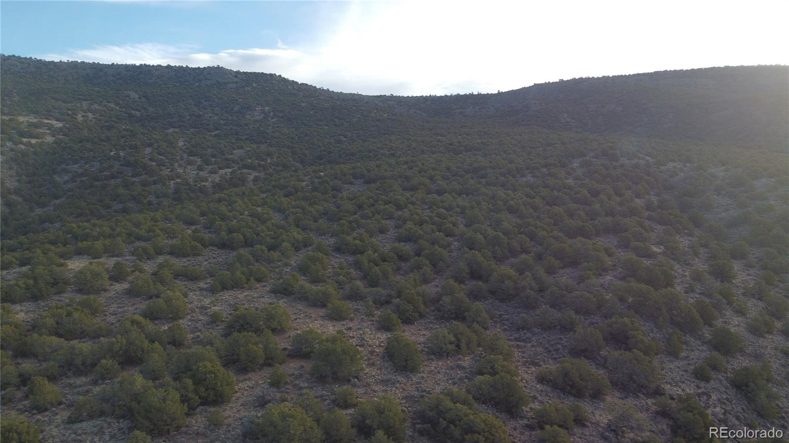 Lot 54 Old Stage Coach Road San Luis CO 81152
