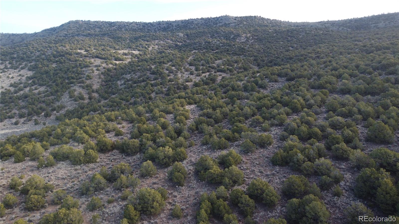 Lot 54 Old Stage Coach Road San Luis CO 81152