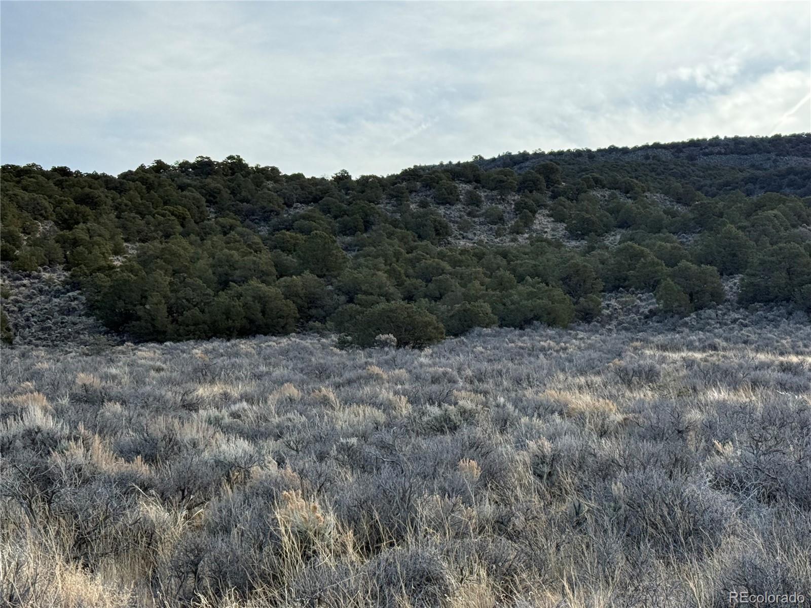 Lot 54 Old Stage Coach Road San Luis CO 81152