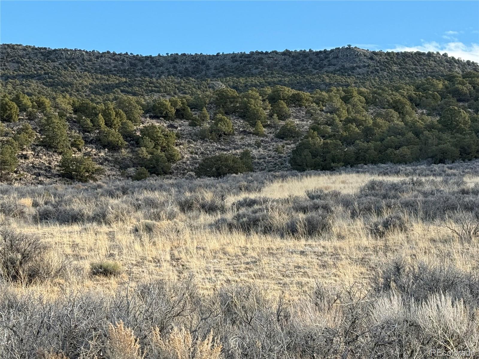 Lot 54 Old Stage Coach Road San Luis CO 81152