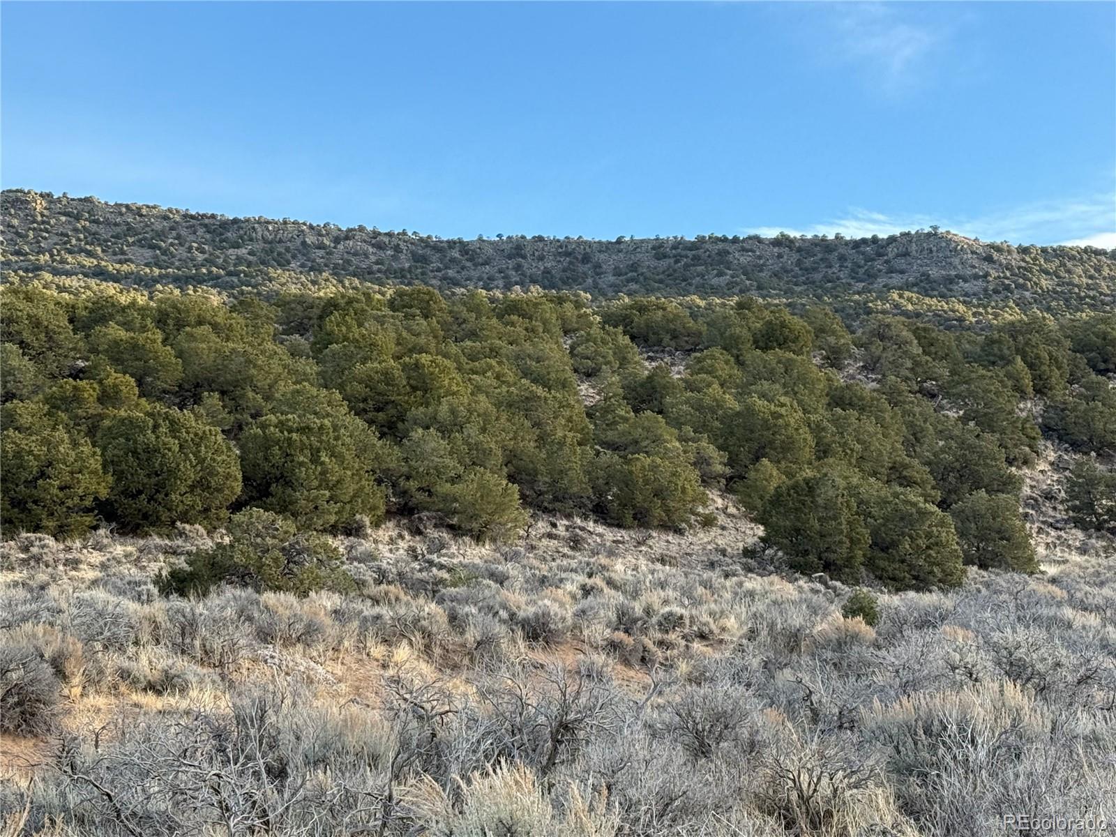 Lot 54 Old Stage Coach Road San Luis CO 81152