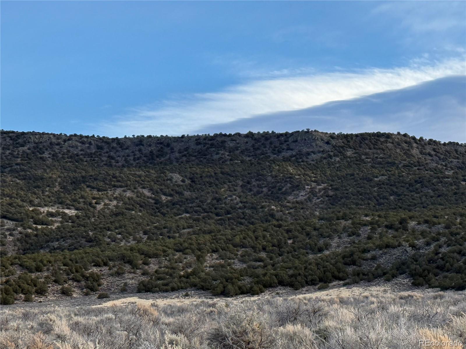 Lot 54 Old Stage Coach Road San Luis CO 81152